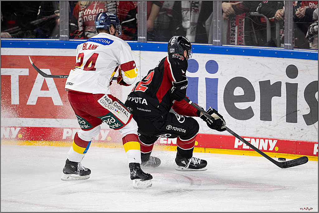 PENNY DEL 1; Kölner Haie - Düsseldorfer EG ; Köln, 16.02.2025